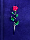 Valentines special silver rose