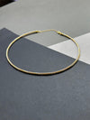 Sleek Circle Anklet